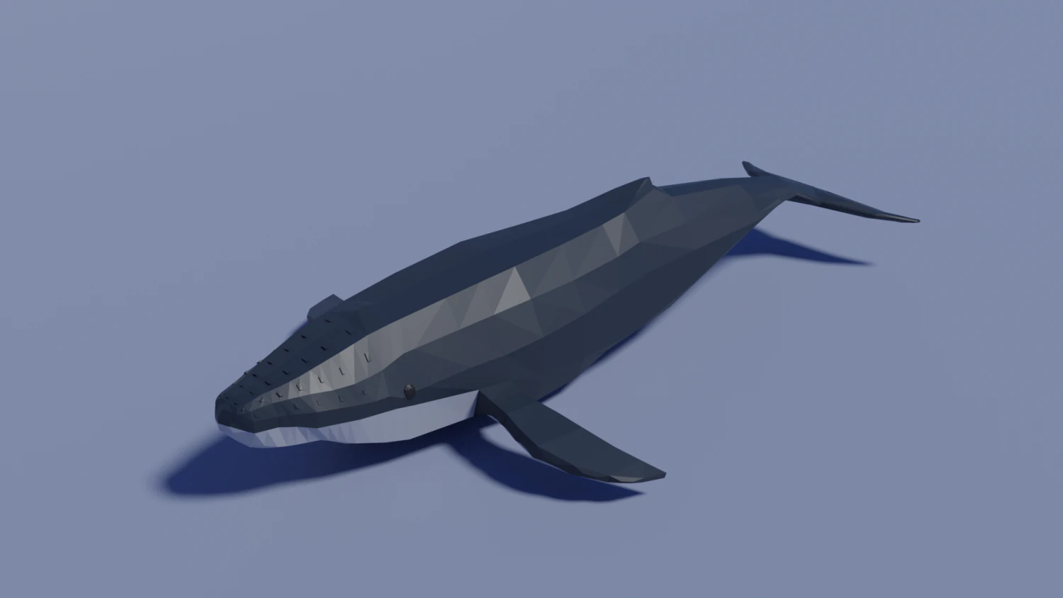 cartoon humpback whale 3D Model .c4d .max .obj .3ds .fbx .stl .blend 