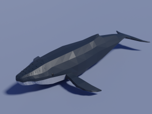 cartoon humpback whale 3D Model