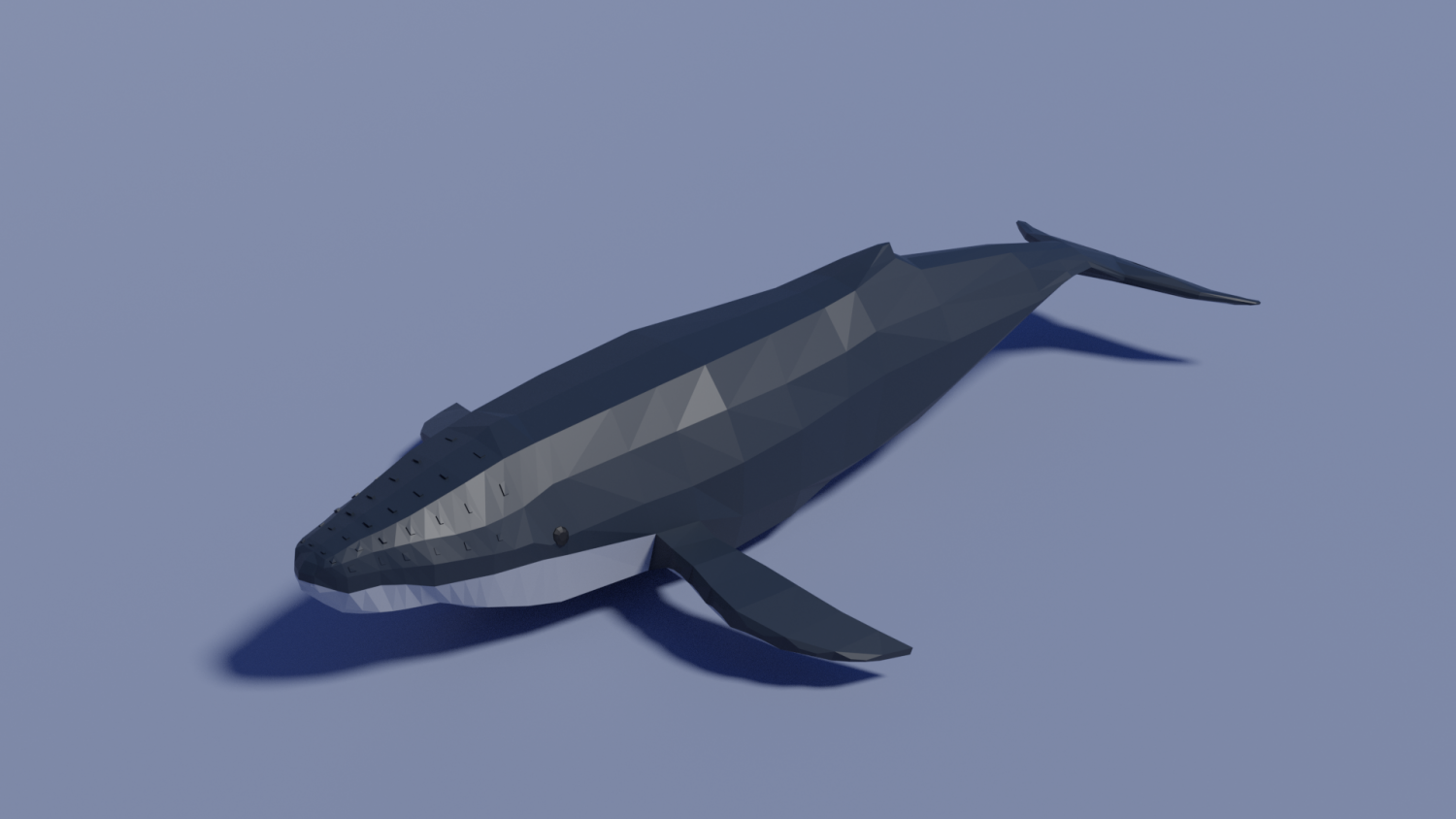 humpback whale cartoon