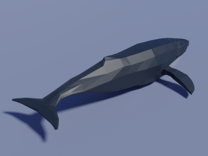 cartoon humpback whale 3D मॉडल