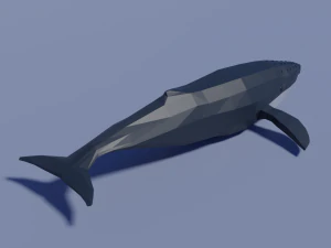 cartoon humpback whale 3D Model