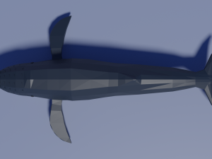 cartoon humpback whale 3D मॉडल