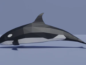 cartoon killer whale 3D Model