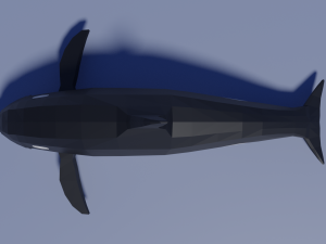 cartoon killer whale 3Dモデル