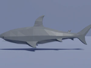 만화 상어 3D 모델