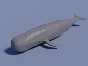 cartoon sperm whale 3D Model