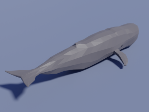 cartoon sperm whale 3D Модель
