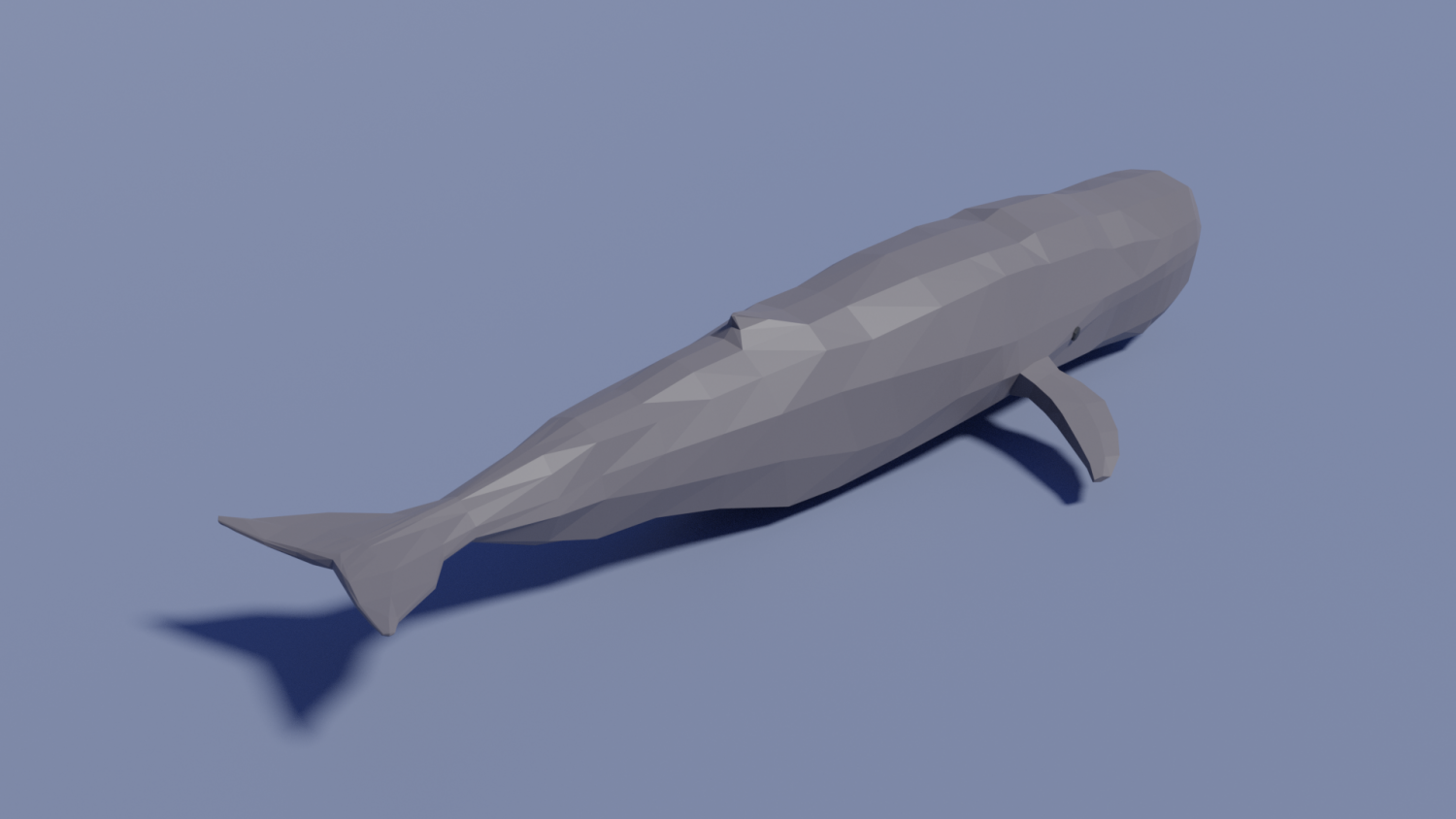 cartoon sperm whale 3D Model in Whale 3DExport