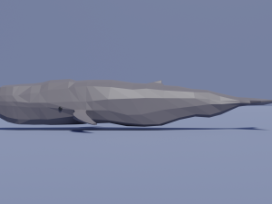 cartoon sperm whale 3D Модель