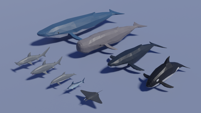 sea animals pack Model 3D .c4d .max .obj .3ds .fbx .stl .blend 