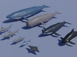 海の動物パック 3Dモデル