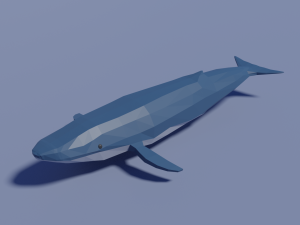 sea animals pack Model 3D