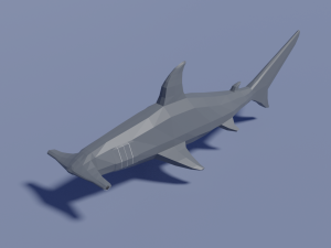 sea animals pack Model 3D