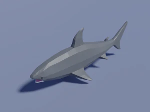 sea animals pack 3D Model