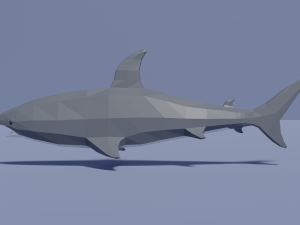 sea animals pack Model 3D