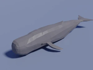 sea animals pack 3D Model