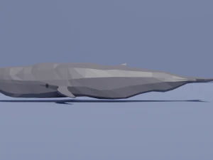 sea animals pack 3D Model