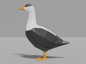 cartoon eider 3D Модель