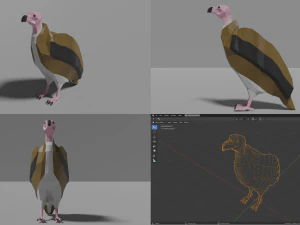 birds pack 3D Model