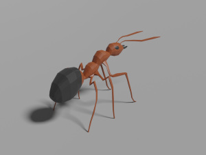 low-poly ant Model 3D