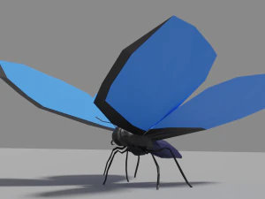 kupu-kupu poli rendah Model 3D