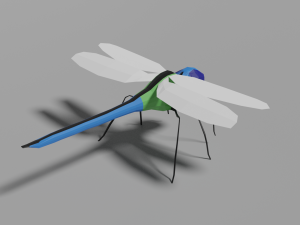 low-poly dragonfly 3D 모델