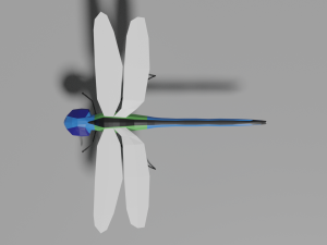 low-poly dragonfly 3D 모델