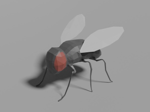low-poly fly 3D Model