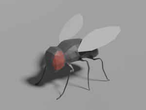низкополигональная муха 3D Модель