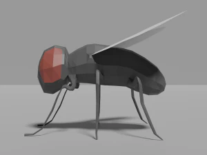 низкополигональная муха 3D Модель