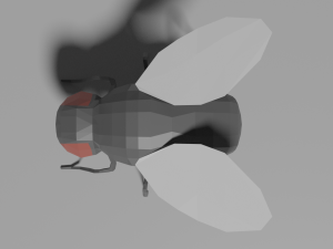 low-poly fly 3D-Modell