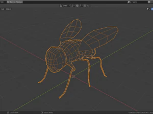 низкополигональная муха 3D Модель