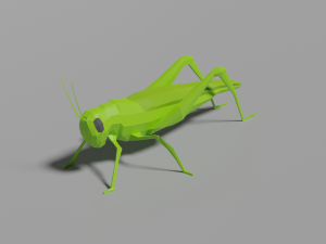 low-poly grasshopper 3D Model