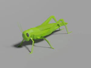 низкополигональный кузнечик 3D Модель