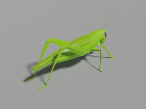 low-poly grasshopper Model 3D