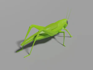 low-poly grasshopper 3D Model