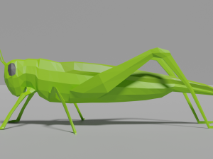 low-poly grasshopper Model 3D