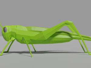 low-poly grasshopper 3D Model