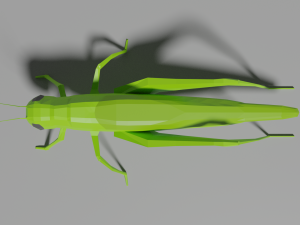 low-poly grasshopper Model 3D