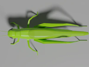 low-poly grasshopper 3D Model