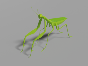 low-poly mantis 3D Model
