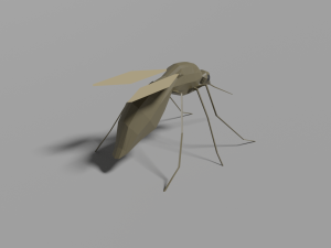 low-poly mosquito Model 3D