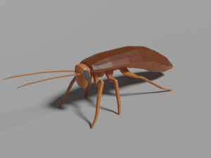 low-poly roach 3D Model