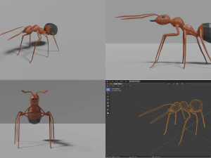 insects pack 3D Model