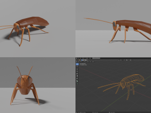 insects pack Modello 3D