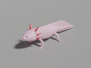 low-poly axolotl 3D-Modell