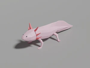 aksolotl niskopolimerowy Model 3D