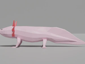 low-poly axolotl 3D Model