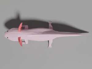 low-poly axolotl 3D Model
