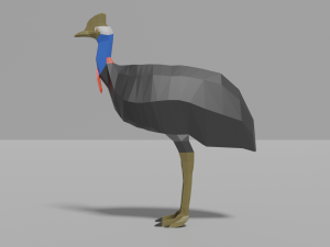 low-poly cassowary Modèle 3D